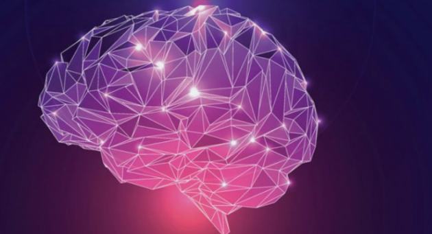 莱斯大学科学家在神经网络深度学习方面取得的突破