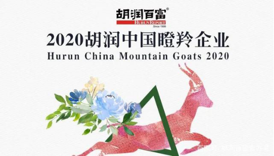 《2020胡润中国瞪羚企业》榜单揭晓 小电科技成共享经济圈代表“瞪羚企业”