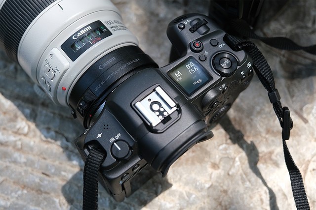 巅峰对决！EOS R5、A9 II谁是生态摄影利器 