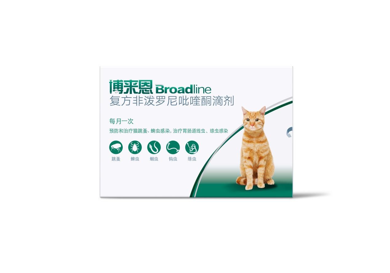 猫拉稀怎么回事？这几个问题别忽略！