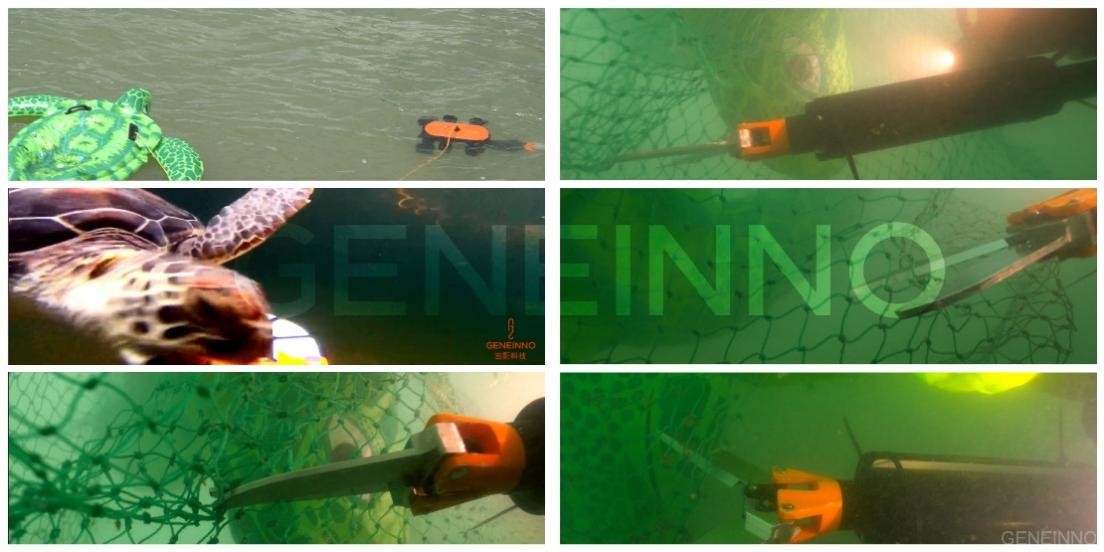 吉影科技携手央视《创新进行时》拍摄，海龟湾里的新科技！