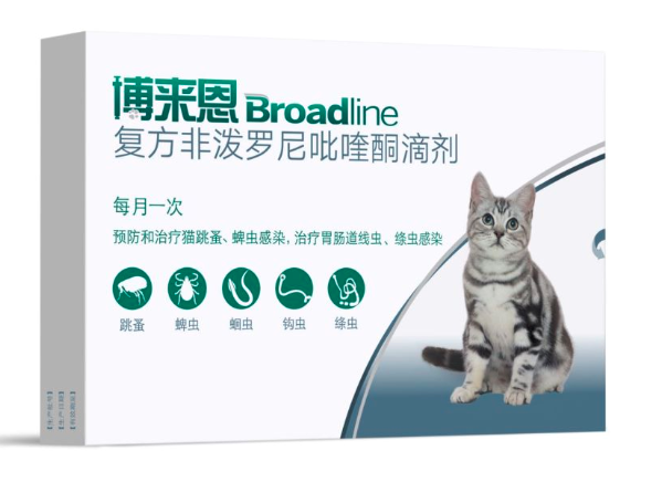 猫咪体外驱虫怎么操作？做对了更省心！