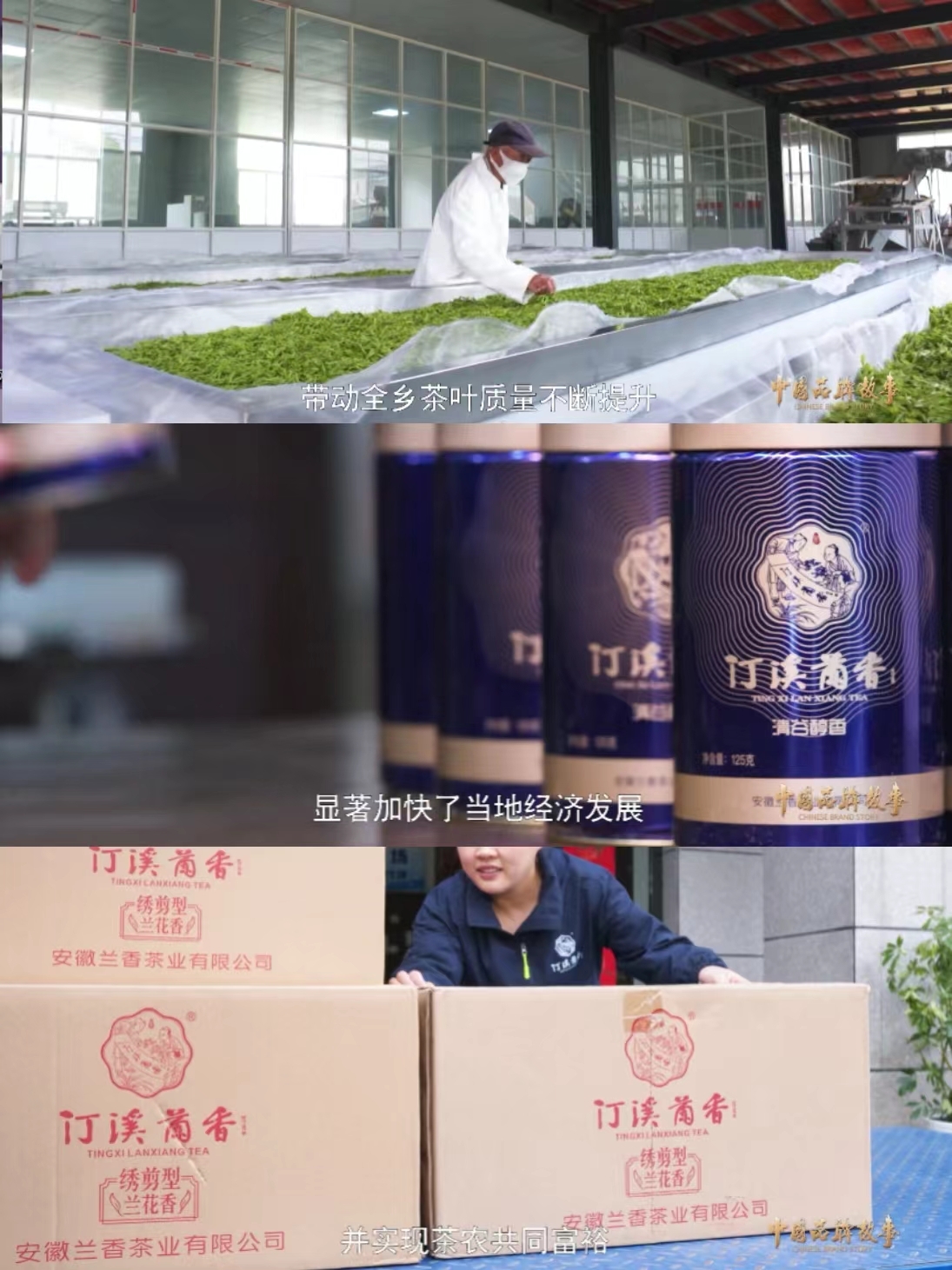 中国品牌故事 — 汀溪兰香：一杯清茶品人生百味