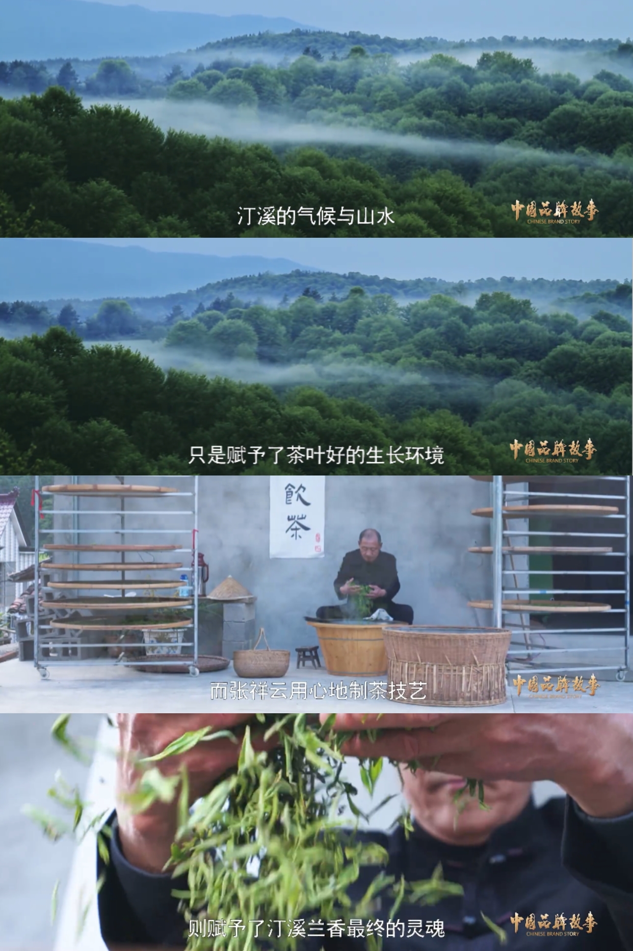 中国品牌故事 — 汀溪兰香：一杯清茶品人生百味