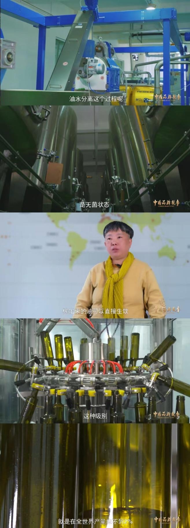 中国品牌故事 | 月华源位（下集）：月华源位 中国高品质有机橄榄油